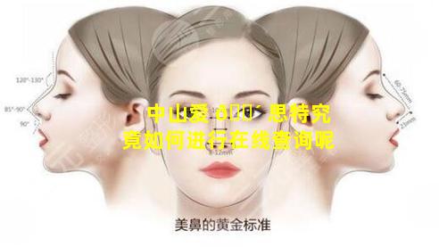 中山爱 🐴 思特究竟如何进行在线查询呢